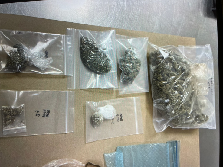 Marijuana seized at Allen's Automotive Company, according to the Fayetteville Police Department.