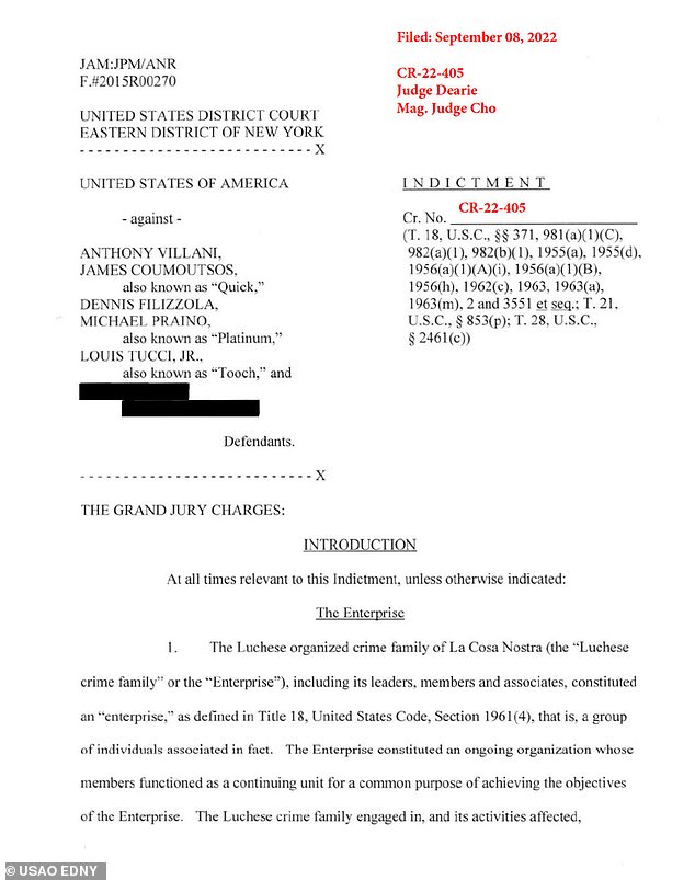 An indictment unsealed in Brooklyn federal court on Tuesday revealed that the gambling business 'Rhino Sports' used an offshore website and dozens of bookmakers in the New York area for the multi-million dollar scheme