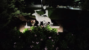 A statue of a soldier and dog at night