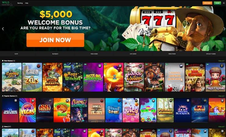 Wild Casino Homepage