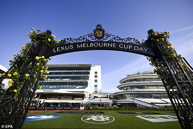 Punters offered $150 early Melbourne Cup payouts after betting stunt spectacularly backfires on gambling company which offered extraordinary 100 to 1 odds on ANY horse: Here's ...