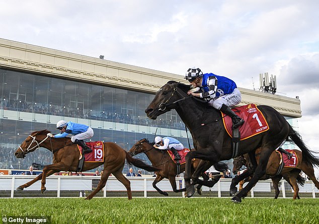 Gold Trip (nearest to camera) was narrowly beaten in the Caulfield Cup, and that form makes him among the leading fancies for Tuesday's race.