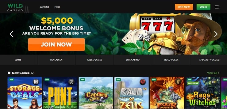 Wild Casino - Top Florida Online Gambling Site