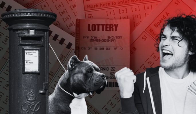 MaltaToday print edition: Illegal gambling, bully dogs and your parcel charge