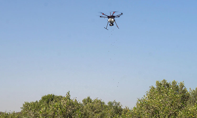 Dubai Police drone surveying Naif area exposes gambling game organiser