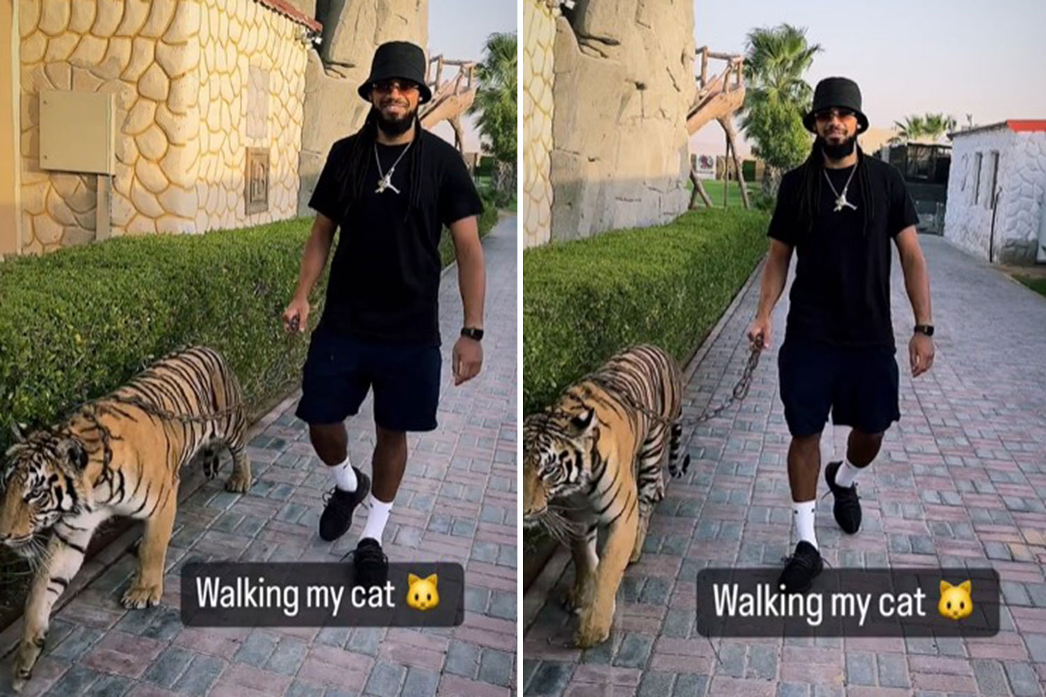 Man City flop risks animal rights outrage as he’s filmed walking his pet TIGER