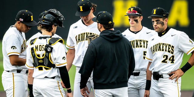 Iowa Hawkeyes baseball