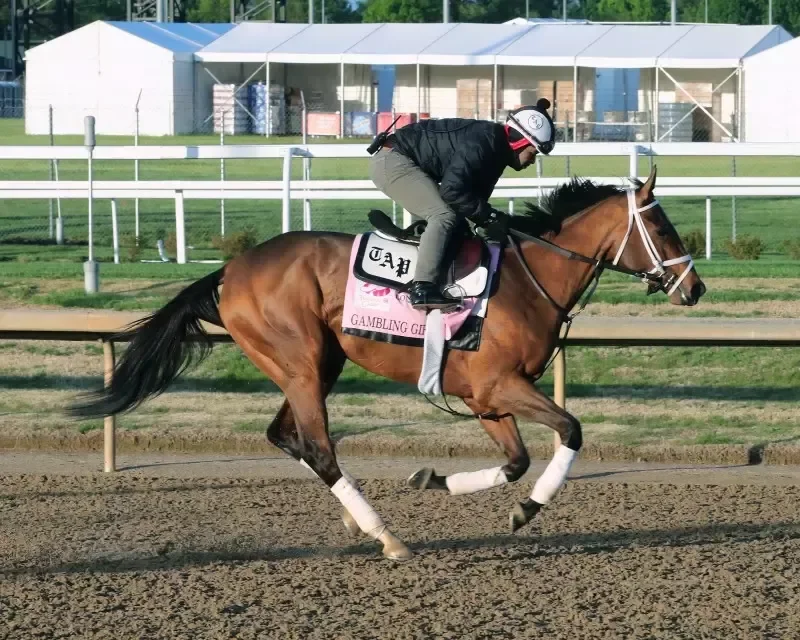 TAG at the Track: Gambling Girl gives Gallagher’s Stud first Kentucky Oaks starter