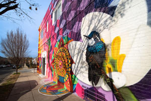 Prominent muralist Erik B Ricks splashed the facade with hummingbirds and his signature geometric shapes. 