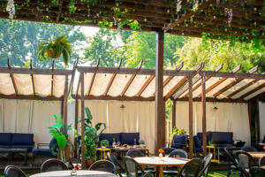 The shaded beer garden-styled setup features bar and table spaces surrounded by eight cabanas.