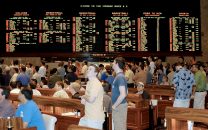 Arizona sports gambling continues remarkable growth since legalization