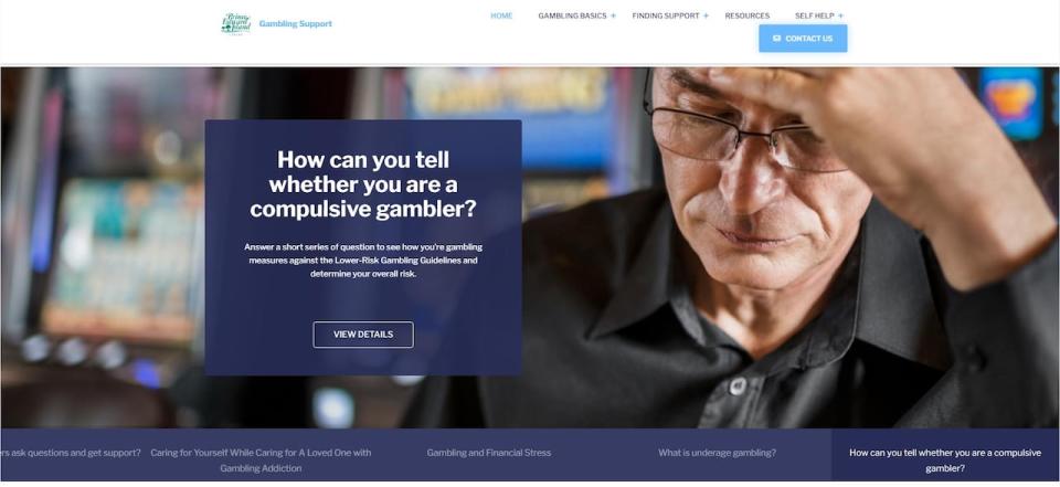 The P.E.I. government has launched a new website and a social media campaign to promote responsible gambling. One expert describes the site as a 'missed opportunity' to provide more detailed information to try to stop Islanders from falling into addiction. (P.E.I. government - image credit)