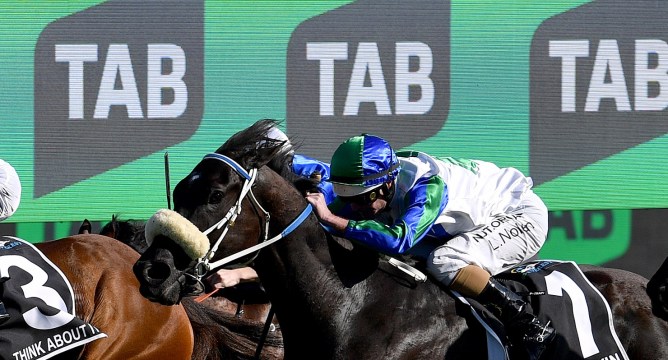 The media's incessant stream of racing carnival drivel helps drive gambling addiction