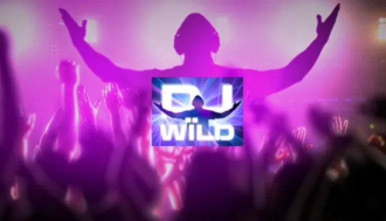 Dj Wild: How to Play and Game Strategy