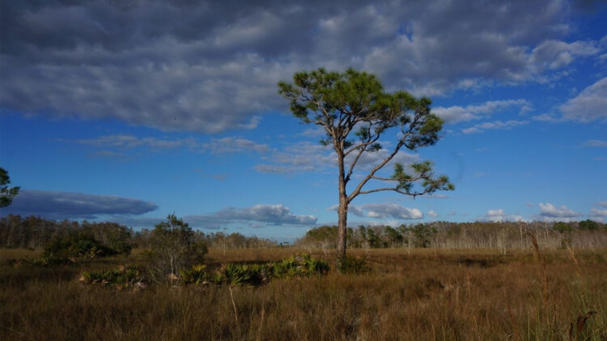 Florida lawmakers look to use gambling money for environment projects