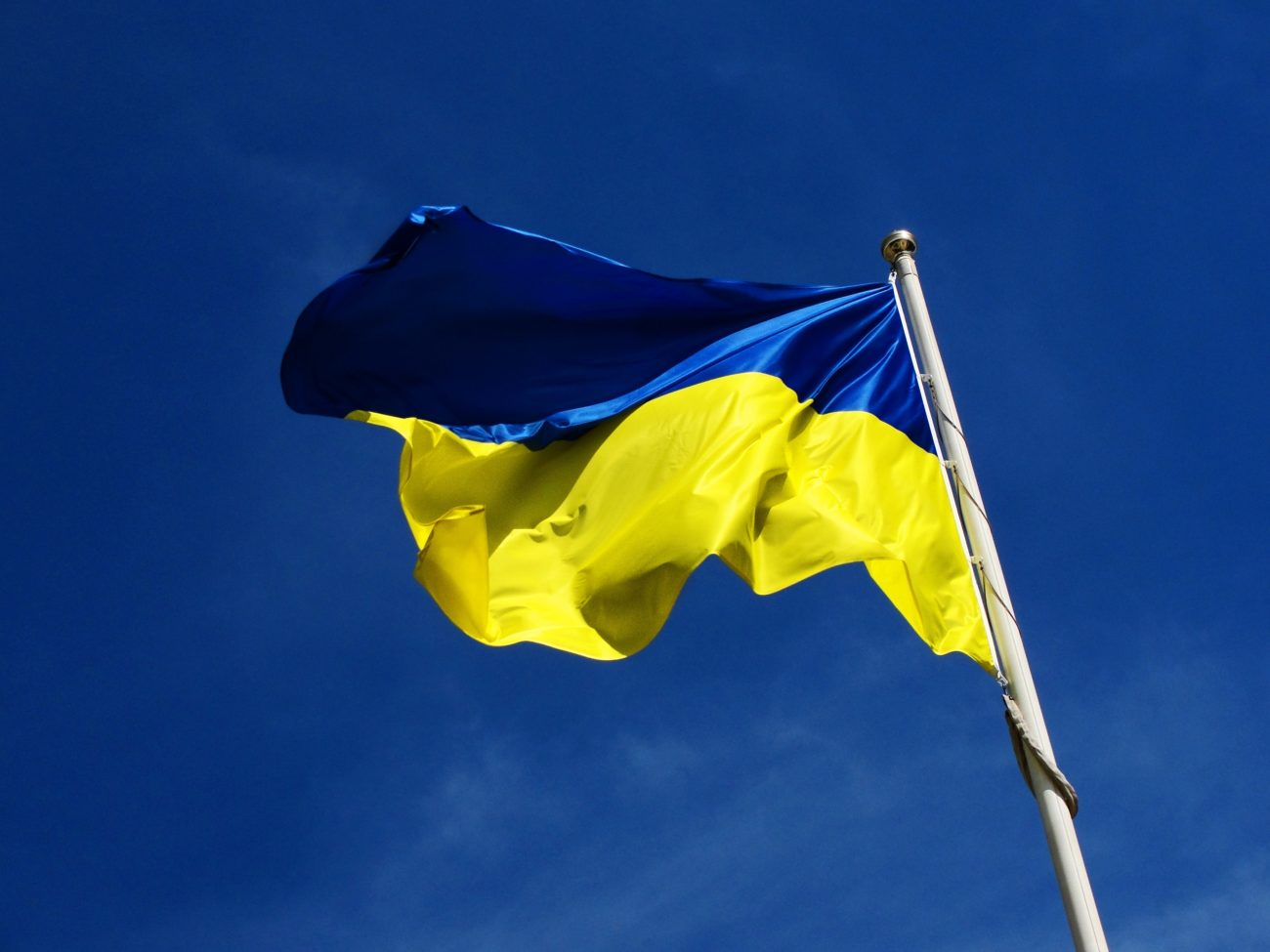 Ukraine seizes â¬17m from leading gambling operator