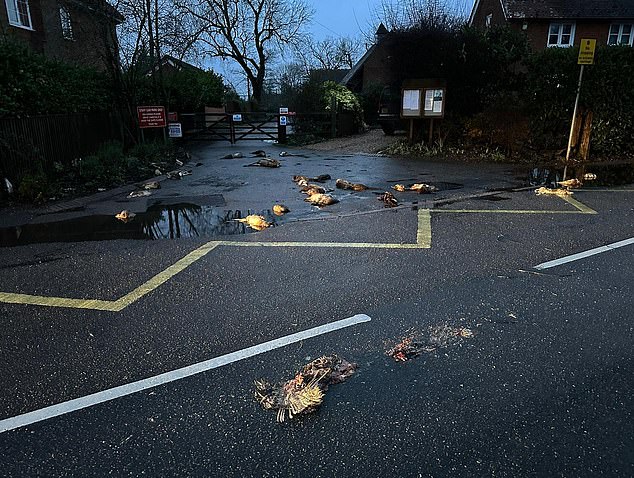 Chilling mystery as dead animals are dumped outside village shop