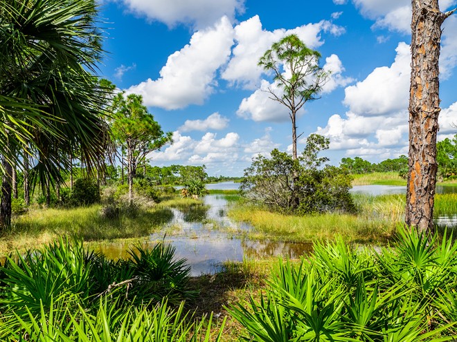 Florida bill allowing gambling money to be used for environmental projects heads to DeSantis