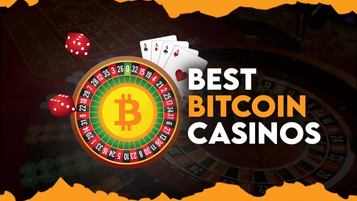 Best Bitcoin & Crypto Casinos in 2024 for BIG Payouts (Updated)