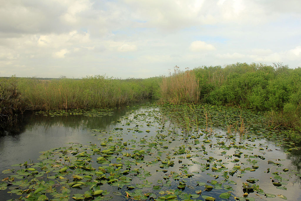 Water Quality Comes Up Trumps in New Florida Gambling Deal