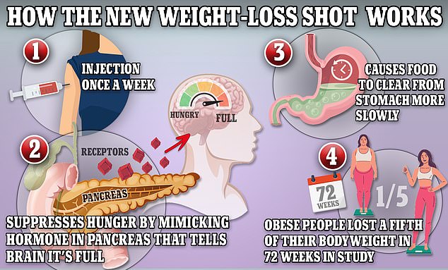 Weight-loss drugs like Ozempic and Wegovy mimic the production of the hormone GLP-1, which helps keep the body full