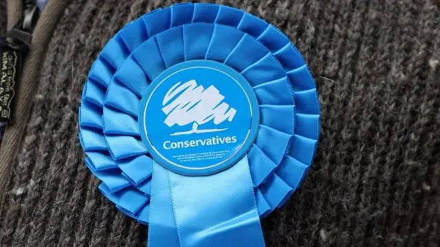 Conservative Party rosette