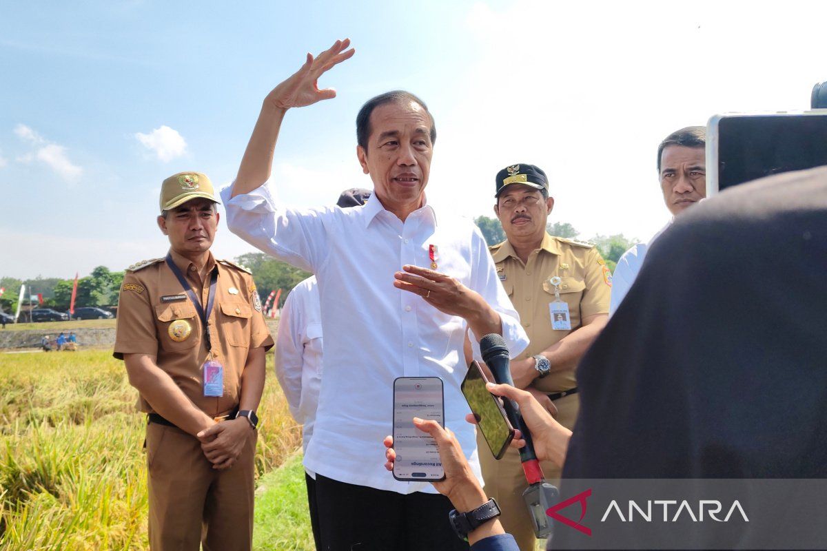 Jokowi stresses that online gambling victims to receive no social aid