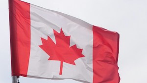 Calls for national gambling harm strategy in Canada