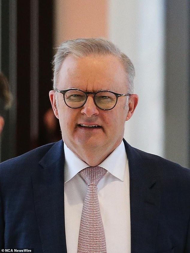 The decision by Australia's second longest-serving prime minister to throw his weight behind the campaign comes after reports the Albanese Labor government will propose a cap on television advertisements instead of a total ban