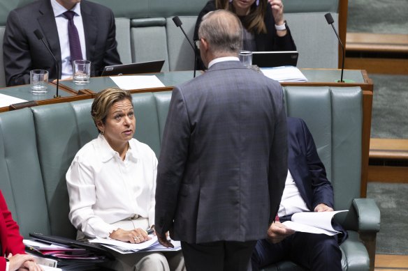 Communications Minister Michelle Rowland and Prime Minister Anthony Albanese during question time in February.