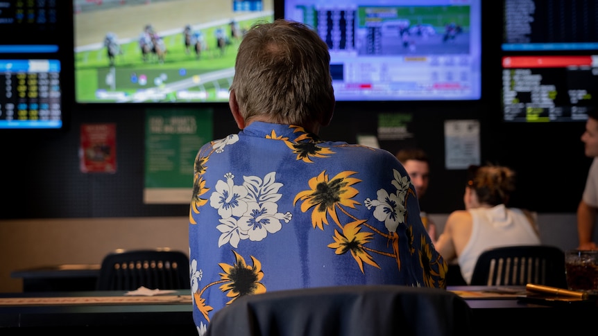 US reckons with sports gambling - ABC listen