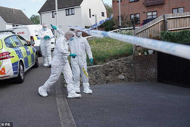 McCullough stabbed them to death at the home in Pump Hill, Chelmsford, before continuing to live there as if nothing had happened (pictured: forensic police on the scene)