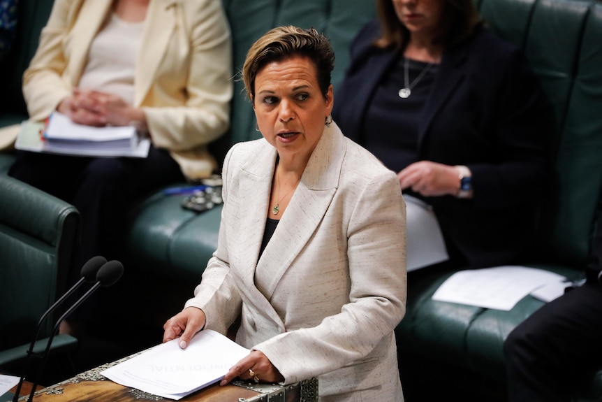 Michelle Rowland stands at the despatch box to answer a question during Question Time in federal parliament.