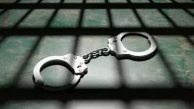 Indian-origin man jailed in Singapore for violence and gambling - Times of India