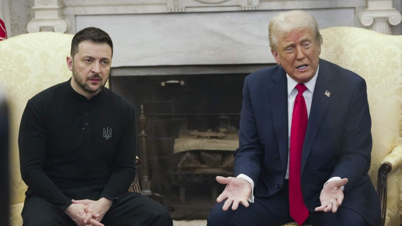 'Gambling with World War Three': Trump-Zelenskyy meeting turns into shouting match